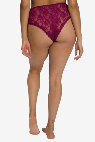 Ulla Popken - Cueca em roxo