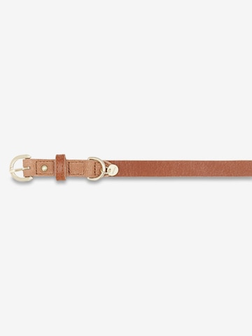 Picard Pet accessories 'Susi' in Brown