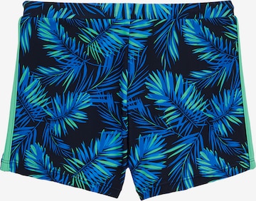 mėlyna WE Fashion Maudymosi kelnaitės: priekis