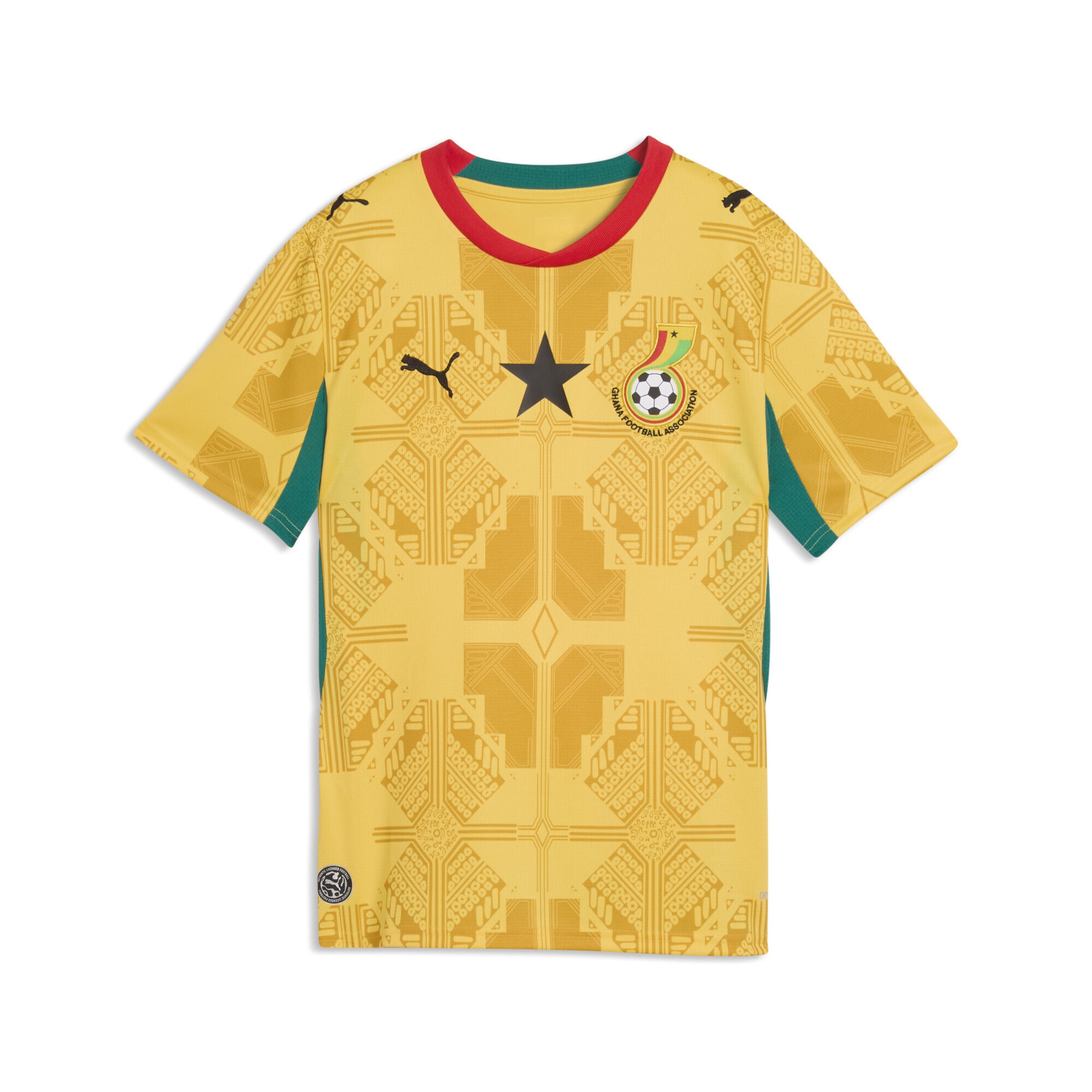 PUMA Performance shirt 'Ghana 2026' in Mustard / Yellow gold / Emerald / Black, Item view