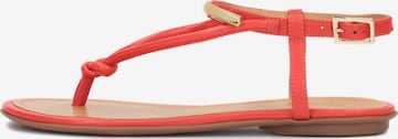 Kazar T-bar sandals in Red: front