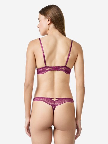 ETAM Thong in Purple