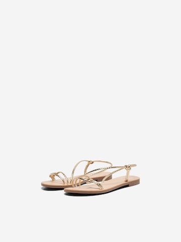 ONLY Sandals 'MELLY' in Gold