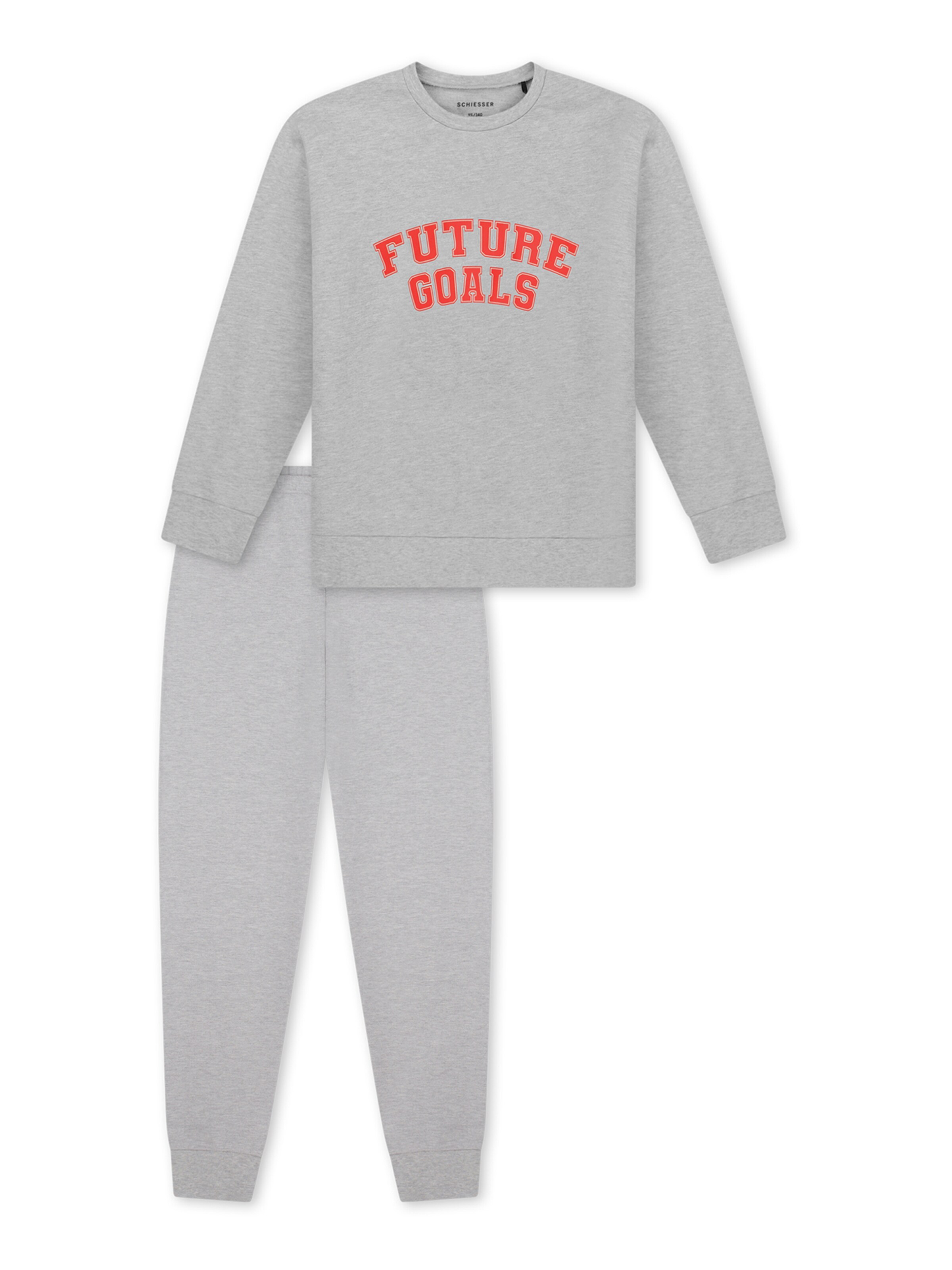 SCHIESSER Nachtkledij ' Nightwear ' in Grijs: voorkant