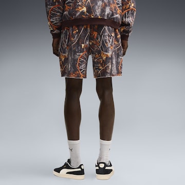 PUMA Regular Sportbroek 'Dylan Wildcat' in Bruin