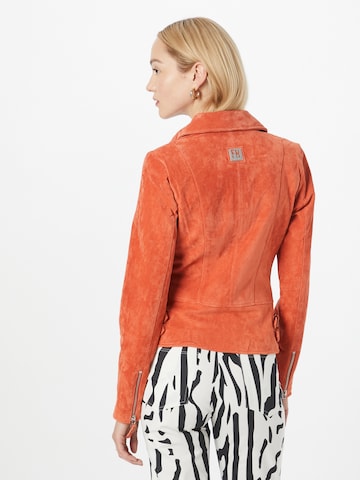 FREAKY NATION Prehodna jakna | rjava barva