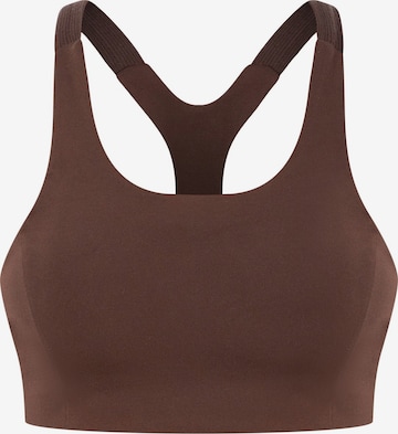 Smilodox Sport BH Sylva in Braun: Vorderseite