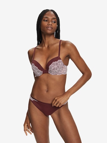 ESPRIT Panty in Brown: front