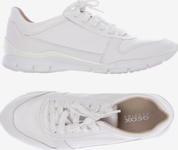 GEOX Sneakers & Trainers in 36 in White: front