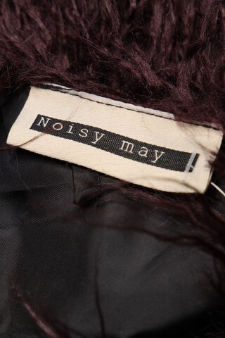 Noisy may Vest in S in Purple