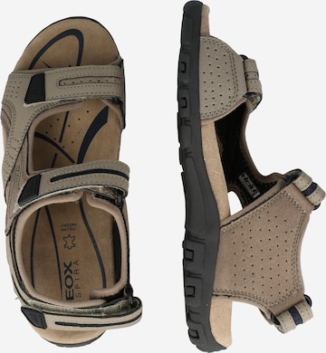 Sandalo da trekking 'Strada' di GEOX in beige