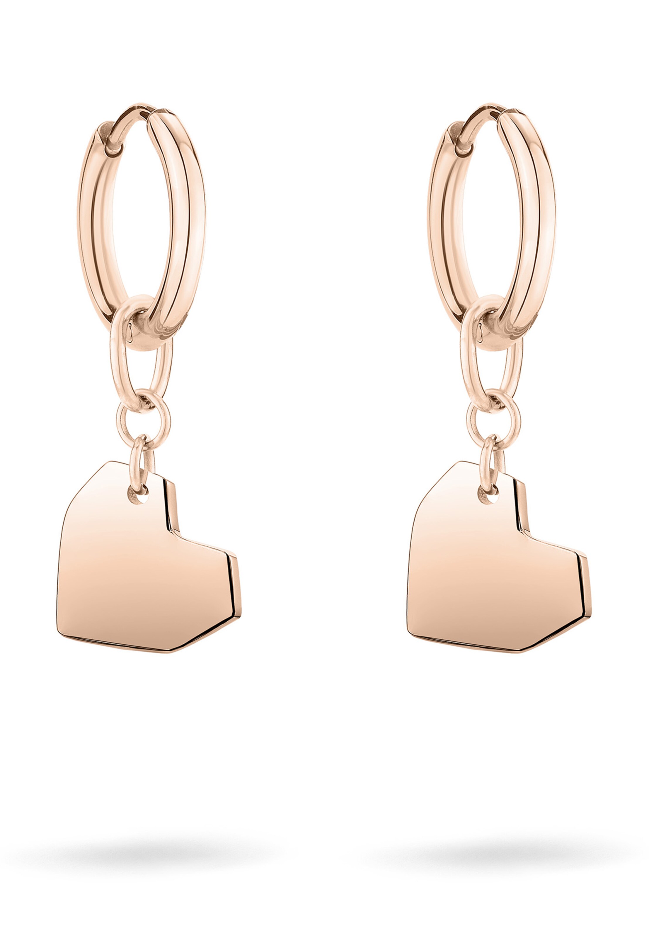 Liebeskind Berlin Earrings in Gold: front