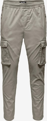 Pantalon cargo 'Linus' Only & Sons en gris : devant