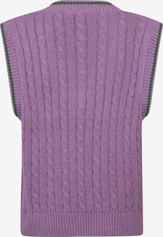 Pull-over 'Ludano2' DENIM CULTURE en violet