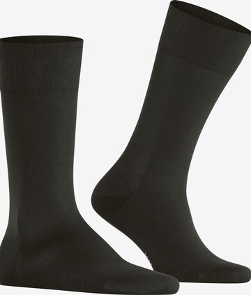 FALKE Socks 'Cool 24/7' in Brown: front
