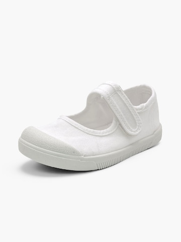 Pisamonas Ballerina's in Wit
