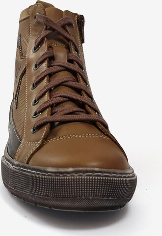 TIGGERS High-Top Sneakers in Brown