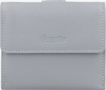 Esquire Wallet 'Viktoria' in Grey: front