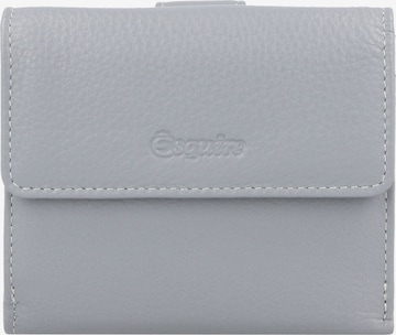 Esquire Wallet 'Viktoria' in Grey: front