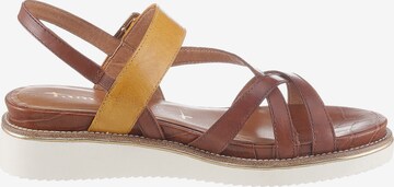 TAMARIS Sandalen met riem 'Eda' in Bruin