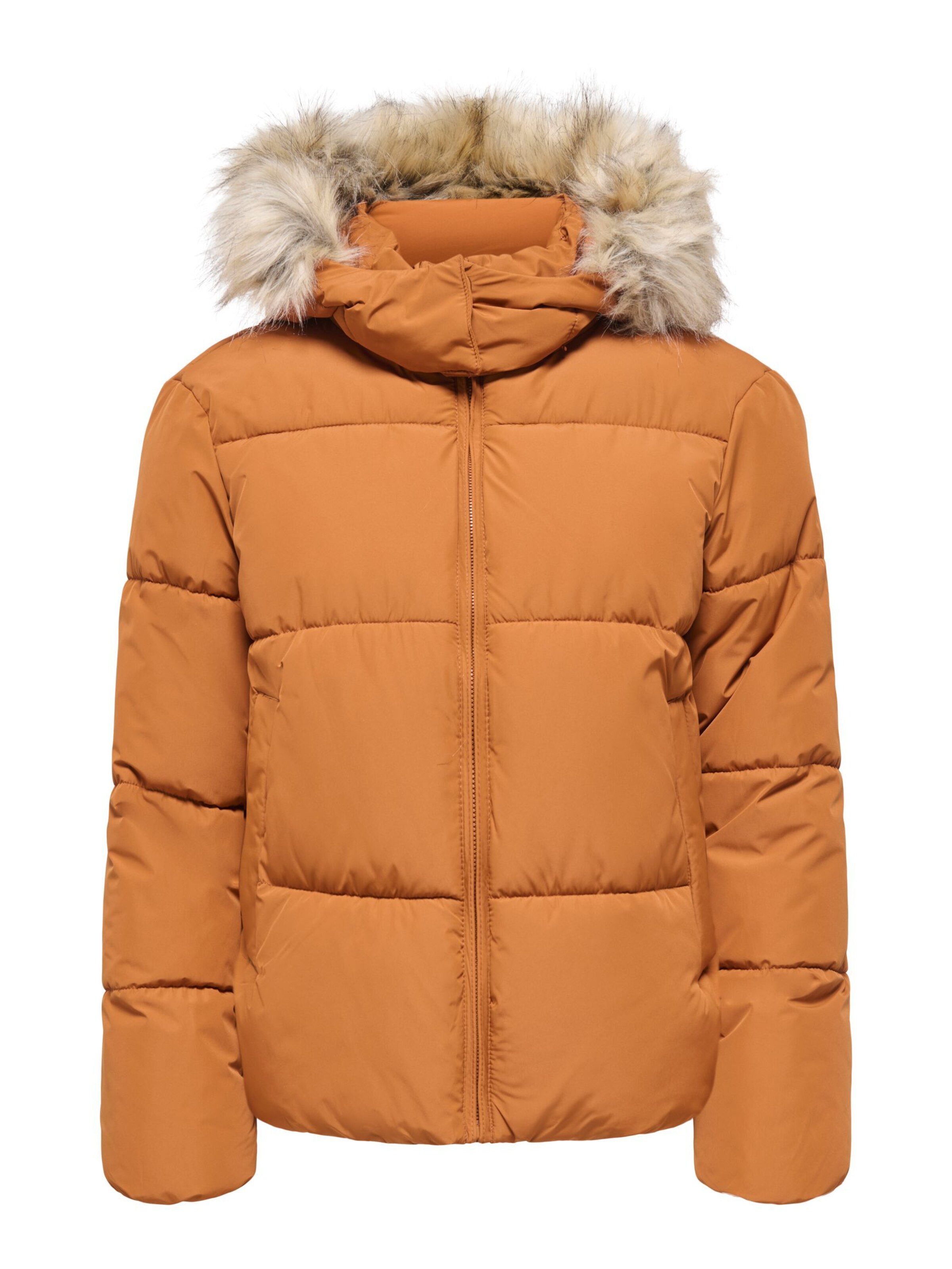 ONLY Winter jacket 'ONLJuta' in Brown: front