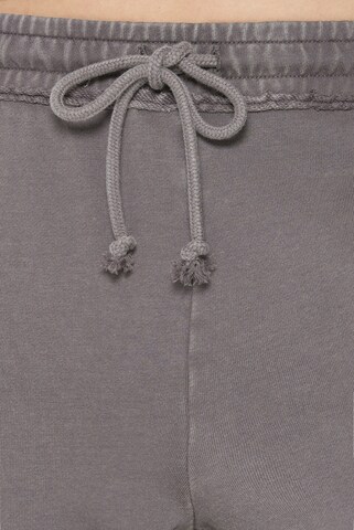 Harlem Soul Regular Pants in Grey