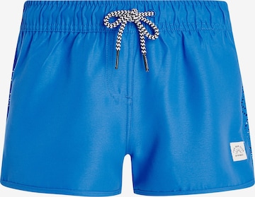 PROTEST Athletic Swimwear 'PRTTAYLOR JR' in Blue: front