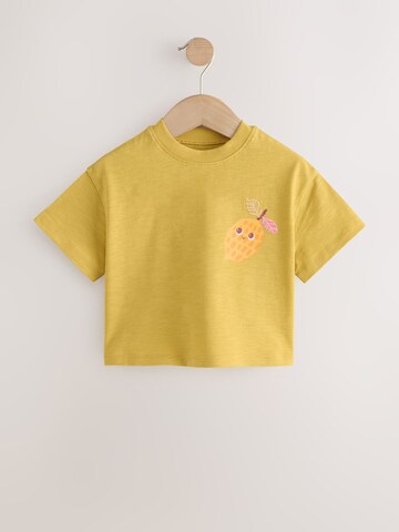 Next T-Shirt in Mischfarben