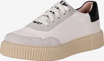 Baskets basses 'OPAL' Crickit en gris : devant