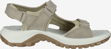 IMAC Sandals in Beige