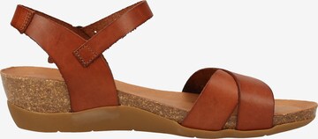 COSMOS COMFORT Sandalen met riem in Bruin