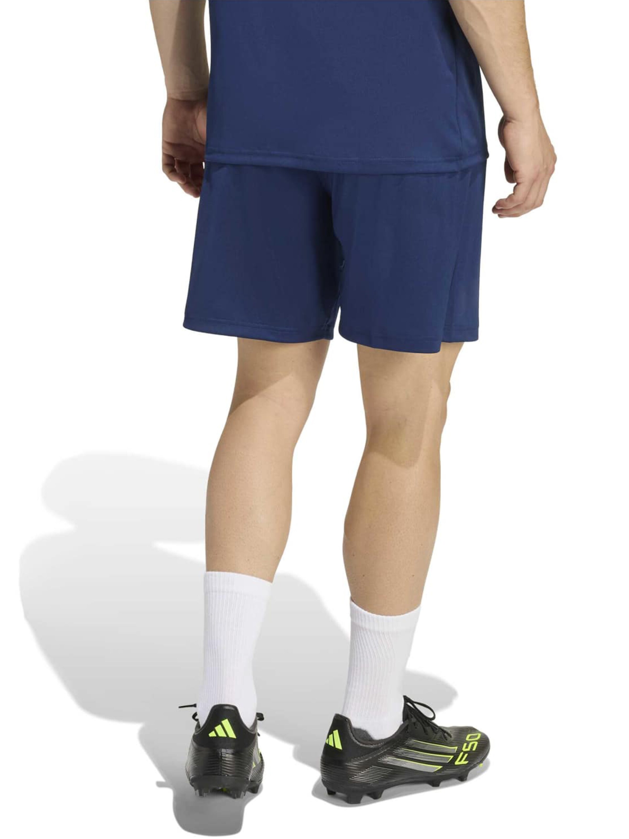 ADIDAS PERFORMANCE Regular Sports trousers 'Entrada 26' in Blue