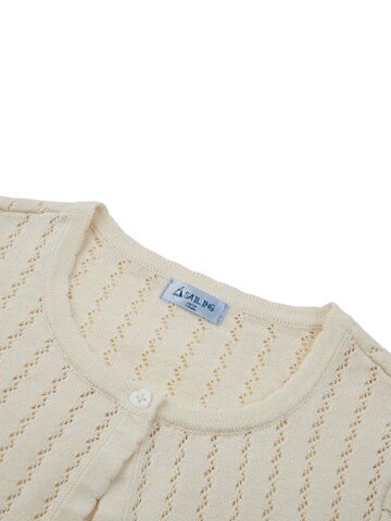 Sailing Knit Cardigan in White
