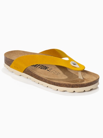 Bayton Tådelare 'Lucca' i gul