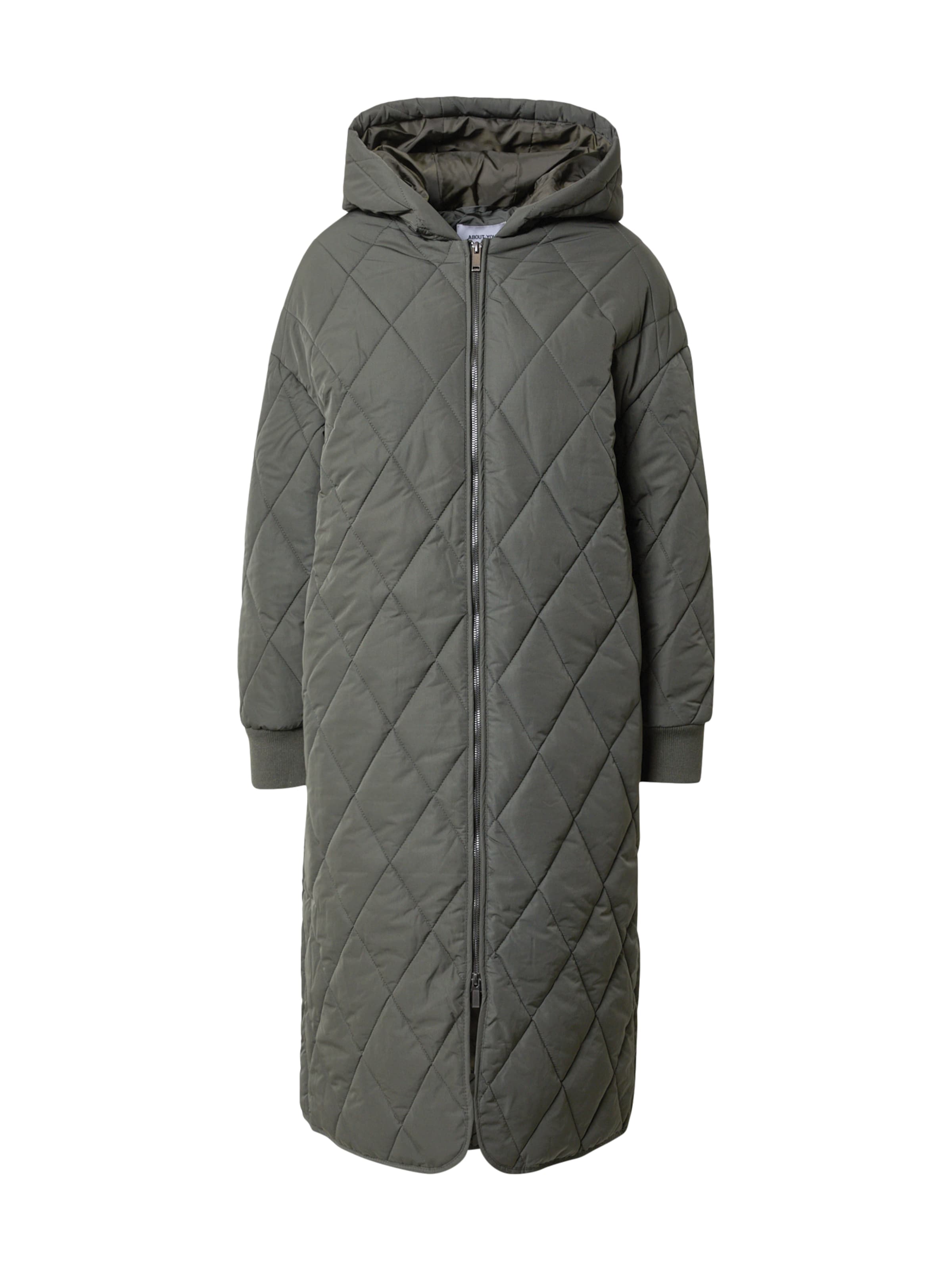 zaļš ABOUT YOU Starpsezonu mētelis 'Darja': no priekšpuses