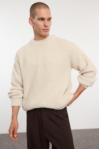 Trendyol Sweater in Beige: front