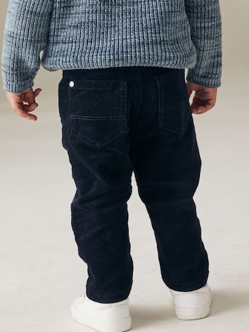 Next Regular Broek in Blauw