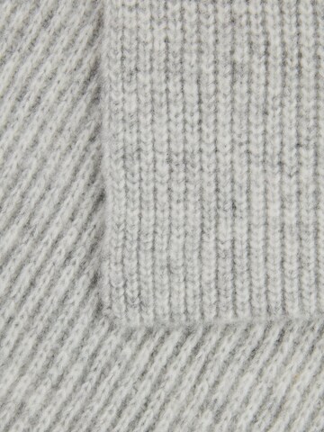 CAMEL ACTIVE Schal in Grau