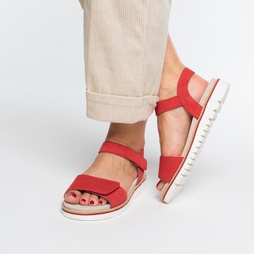 ARA Sandals in Red: front