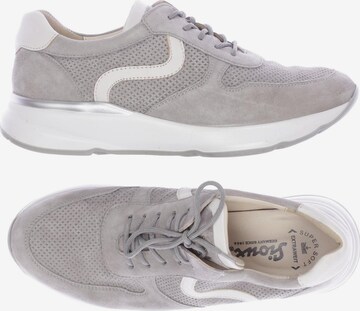 SIOUX Sneakers & Trainers in 38 in Grey: front