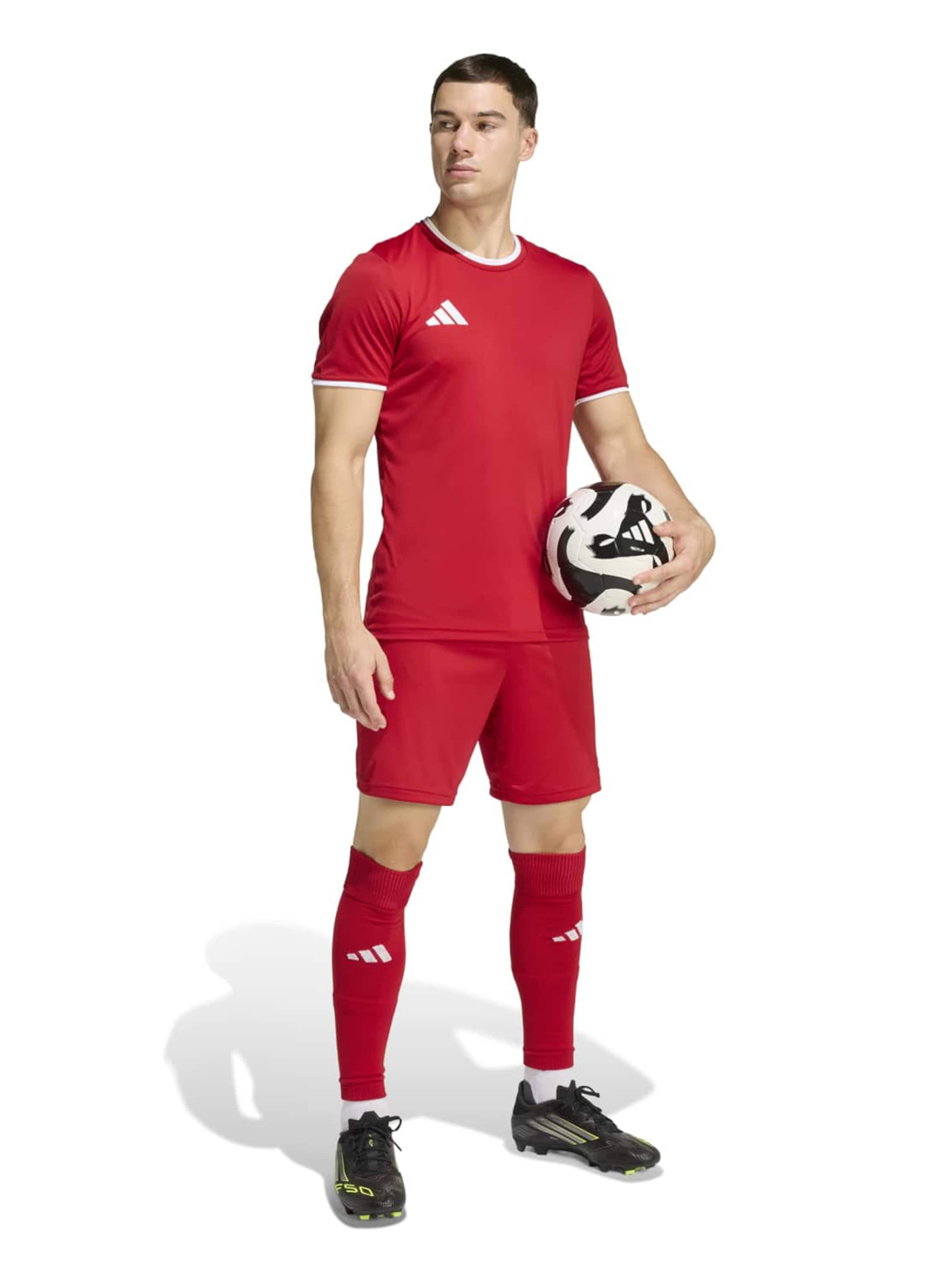 ADIDAS PERFORMANCE - regular Pantalón deportivo 'ENT26' en rojo