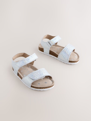 Next Sandalen in Zilver