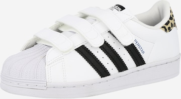 ADIDAS ORIGINALS Trampki 'Superstar' w kolorze biały: przód