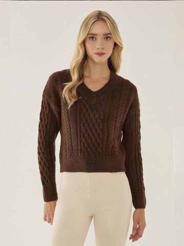 Hiccup - Pullover em castanho: frente