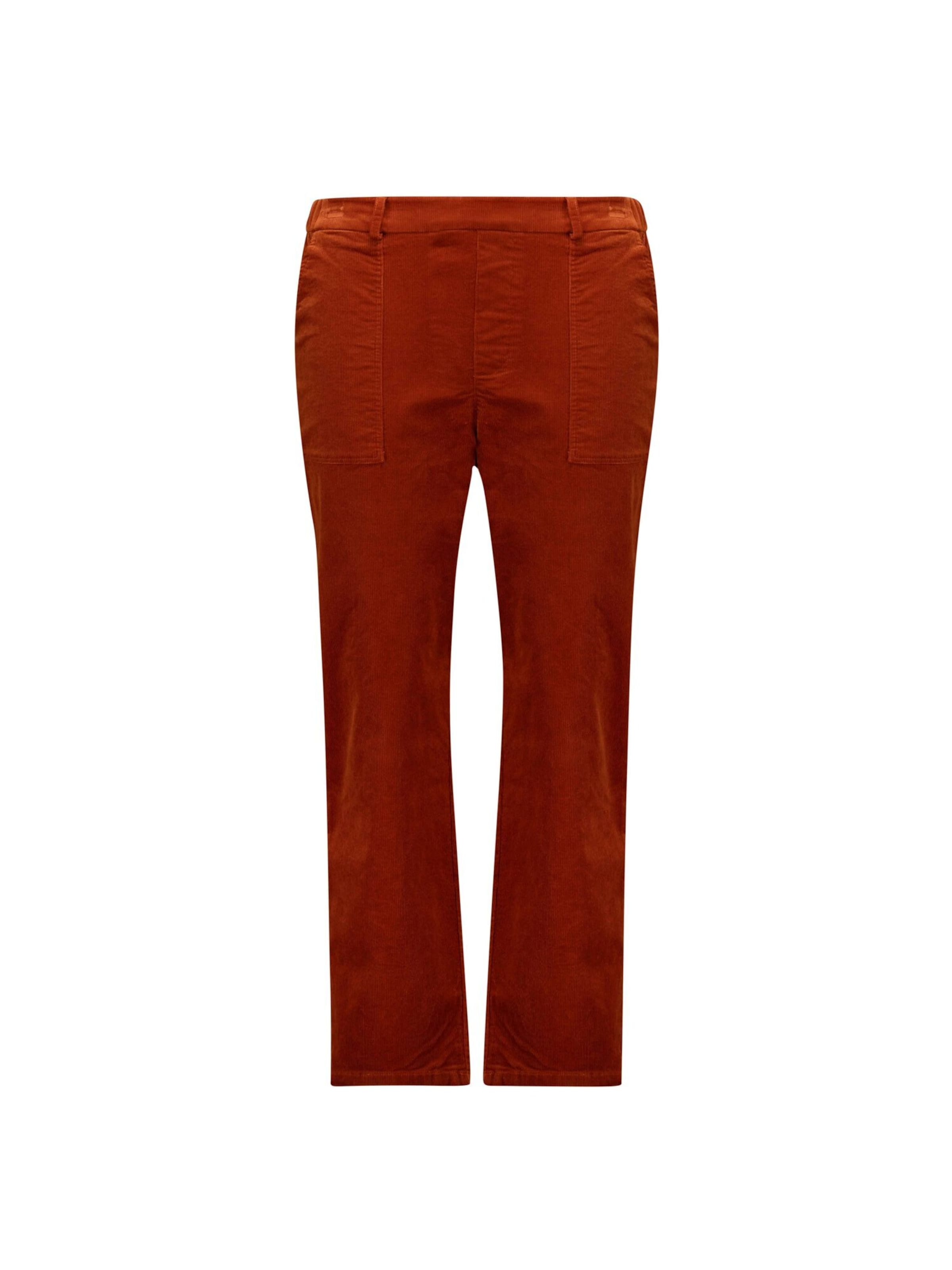 Deeluxe Regular Broek 'Wiyana' in Bruin: voorkant