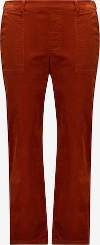 Deeluxe Regular Hose 'Wiyana' in Braun: Vorderseite