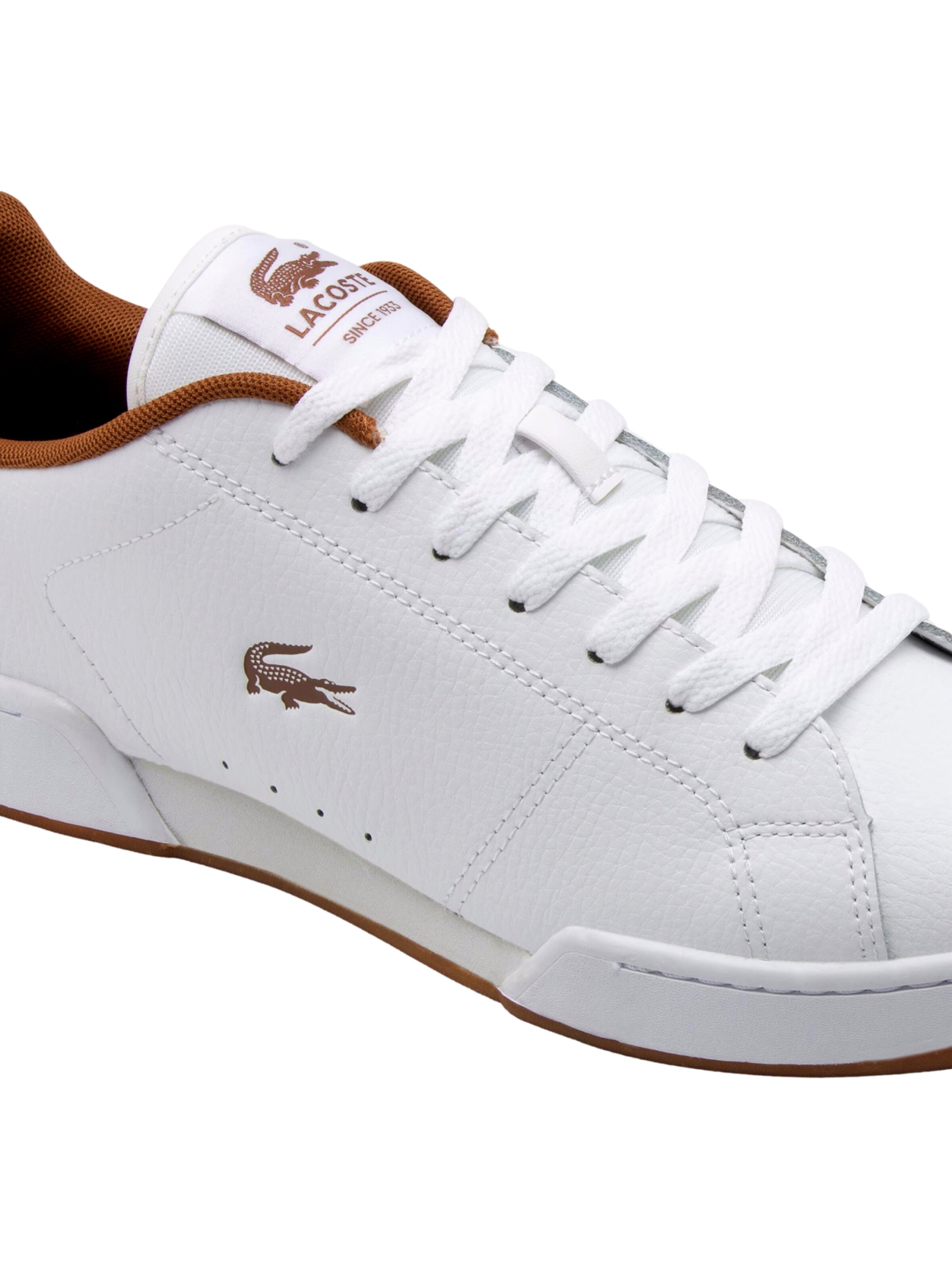 LACOSTE Nízke tenisky 'Carnaby Cup' - Biela