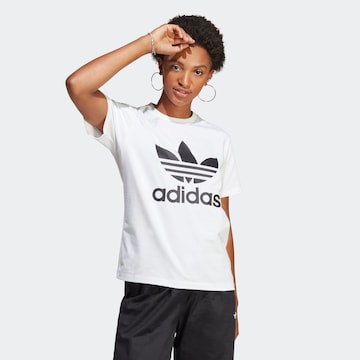 ADIDAS ORIGINALS - Camiseta 'Adicolor Classics Trefoil' en blanco: frente