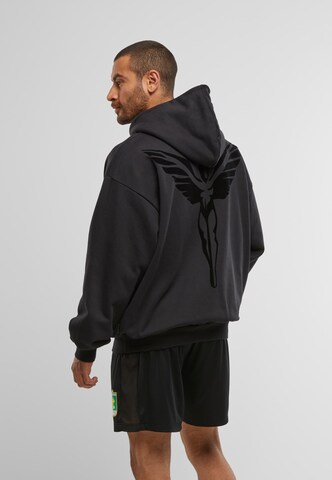 Colucci Sweatshirt 'Ikarus' in Bruin: voorkant