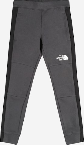 THE NORTH FACE - Pantalón deportivo 'SLACKER' en gris: frente